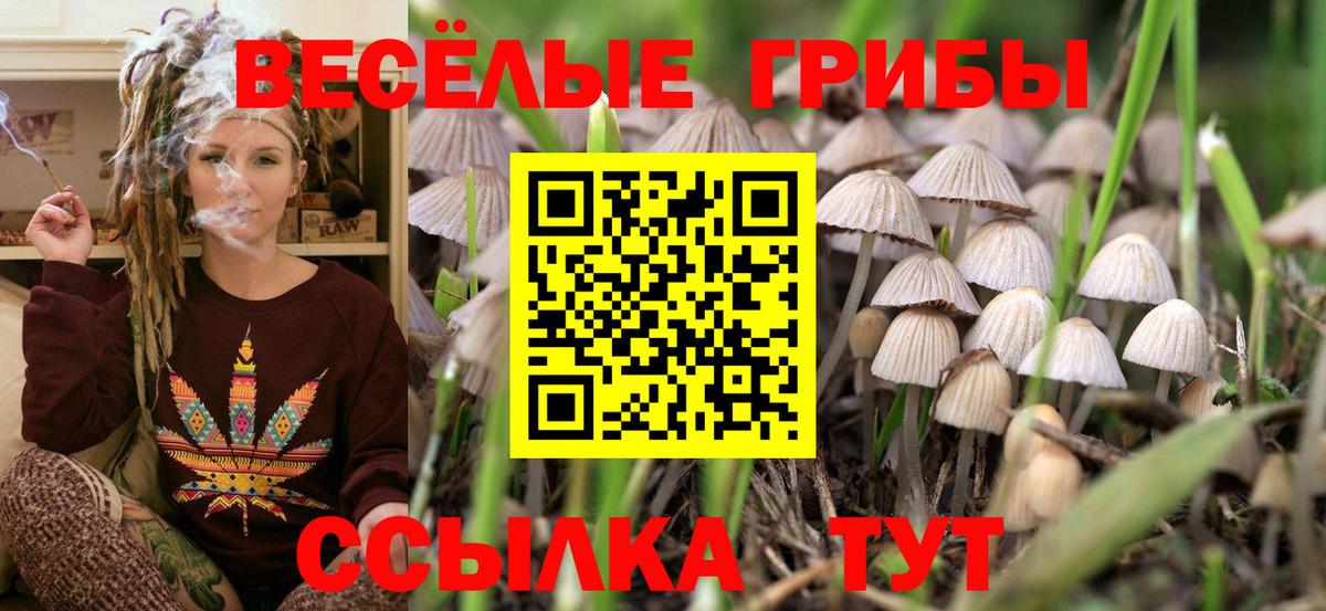 цены наркотик  Галлюциногенные грибы ЛСД  Осинники  Вход с VPN  Галлюциногенные грибы Psilocybine cubensis 